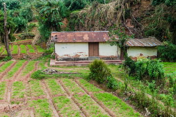 Rural house near Pattipola village, Sri Lanka