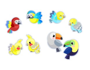 Set Tropical birds vector illustration