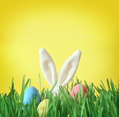 Easter funny bunny on green grass with easter eggs. Easter background.