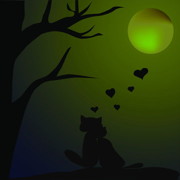 cat's love at the night under the moon