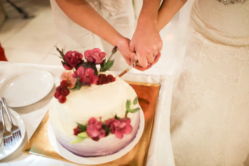 Obraz na płótnie Canvas Elegant pretty young bride and groom cutting the wedding cake.