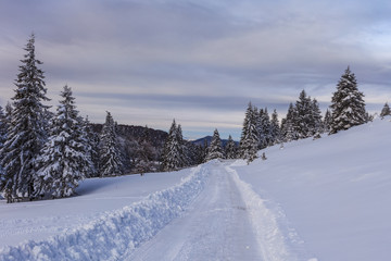 Fototapeta na wymiar rustic road in winter