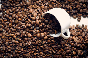 fresh roasted coffee beans