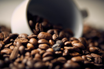 fresh roasted coffee beans