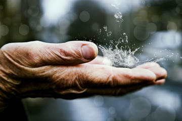 Old palms raised to the sky with a spray of water close up