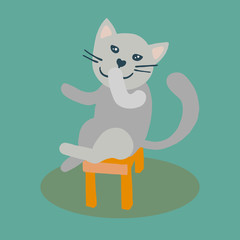 Cat sitting on stool laughing