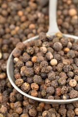 Raw, natural, unprocessed black pepper peppercorns in metal spoon on peppercorns
