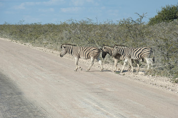 Namibia