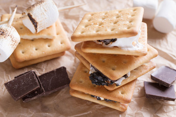 Smores dessert ingredients. Picnic or camp concept. Homemade S'more with chocolate and marshmallow on cracker.