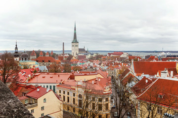 Fototapeta na wymiar Aerial view on the old town with main central steet in Tallinn, Estonia
