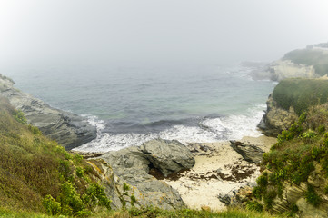 foggy day on the coast with green grass on the rocks