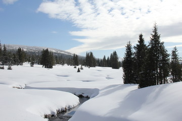 Modrava brook. Winter landscape. Breznik, National Park Sumava, Czech Republic.