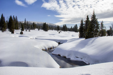 Modrava brook. Winter landscape. Breznik, National Park Sumava, Czech Republic.