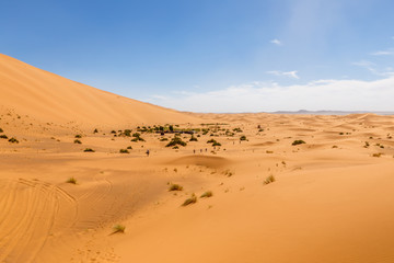 Fototapeta na wymiar Sand dunes in the Sahara Desert, Morocco.