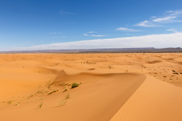 Fototapeta na wymiar dune erg Chebbi in the blue sky, Morocco