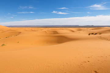 Fototapeta na wymiar Sand dunes in the Sahara Desert, Morocco.
