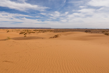 Fototapeta na wymiar Dunes of Erg Chebbi, Sahara Desert Morocco.