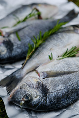 Fresh dorado fish with rosemary sprigs