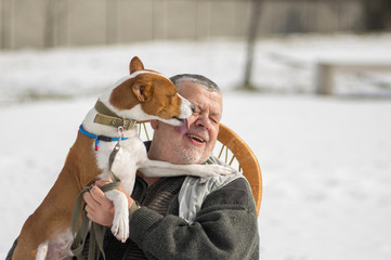 Cute basenji dog licks the master discharging it's everyday obligations for the leader
