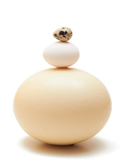 Three eggs of different size