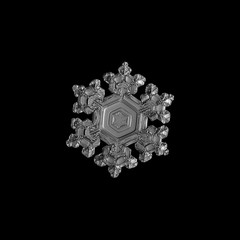 Snowflake isolated on black background. Macro photo of real snow crystal: small stellar dendrite with glossy relief surface, short, broad arms, elegant shape and fine hexagonal symmetry.