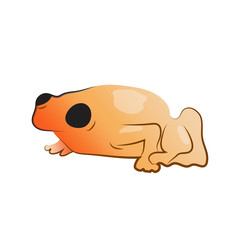 Cute orange little frog vector illustration