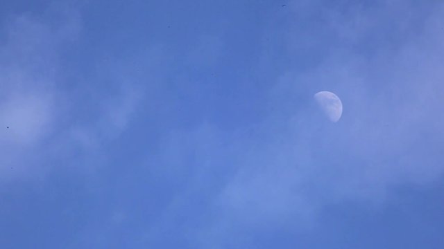 Mond zieht am Himmel,,Wolken ziehen vorüber, full HD Video Footage