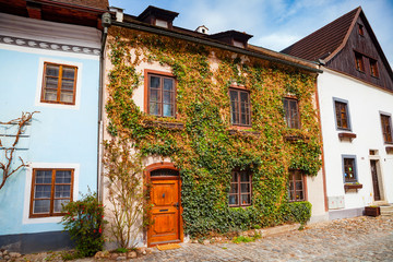 Fototapeta na wymiar Old street and living house covered by ivy in Cesky Krumlov, Czech republic