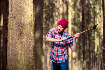 focused lumberjack with an ax chopping a tree into the forest