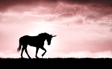 Unicorn silhouette at sunset © ginettigino