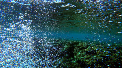 many air bubbles rise from the bottom of the sea