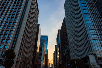 朝焼けの高層ビル群
