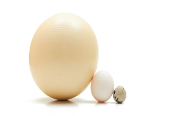 Three eggs of different size
