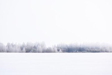 Naklejka premium Winter landscape. Fog, empty snow field, trees in hoarfrost