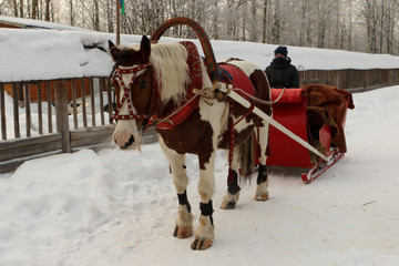 riding on horses in Russia, on carnival