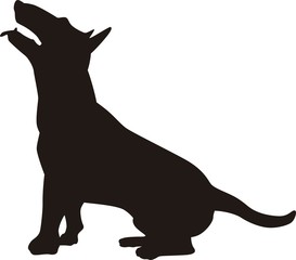 Bull terriet vector silhouette