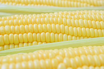 Fresh peeled sweet corns