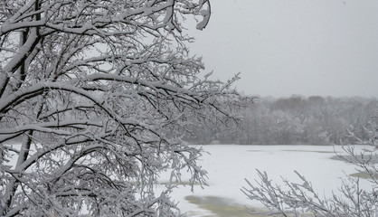 Winter in the park, the snow lies on the branches of the trees. the river is covered with ice