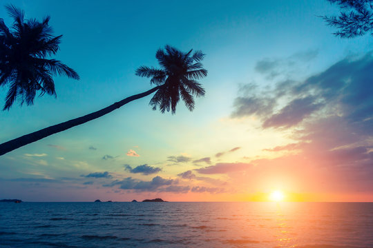 Palm trees silhouettes on a tropical sea beach during beautiful sunset.