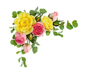 Pink and yellow rose flowers with eucalyptus leaves