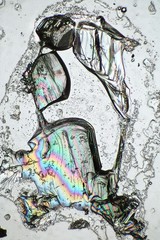 Crystals seen throgh microscope in polarized light