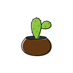 Cactus in pot