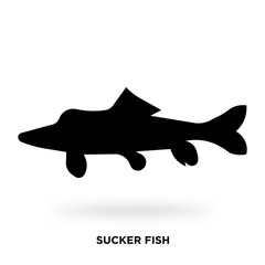 sucker fish silhouette