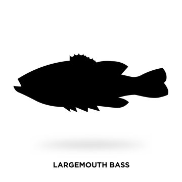 largemouth bass silhouette