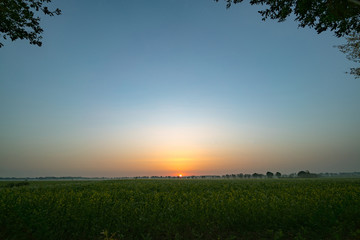 Kulturlandschaft - Getreidefelder mit aufgehender Sonne im Hintergrund