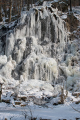 Fototapeta na wymiar Waterfall with ice in the forest