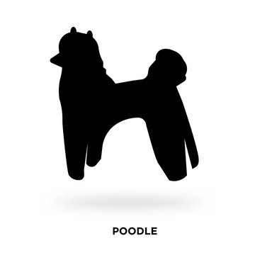 poodle silhouette