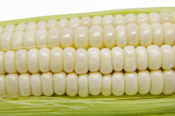 White Maize Corn