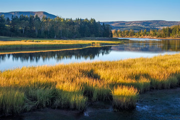 Fototapeta premium Quiet River Bends Through Golden Meadows