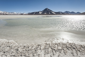 Laguna Blanca (White lagoon) and Licancabur volcano, Bolivia. Beautiful bolivian panorama.